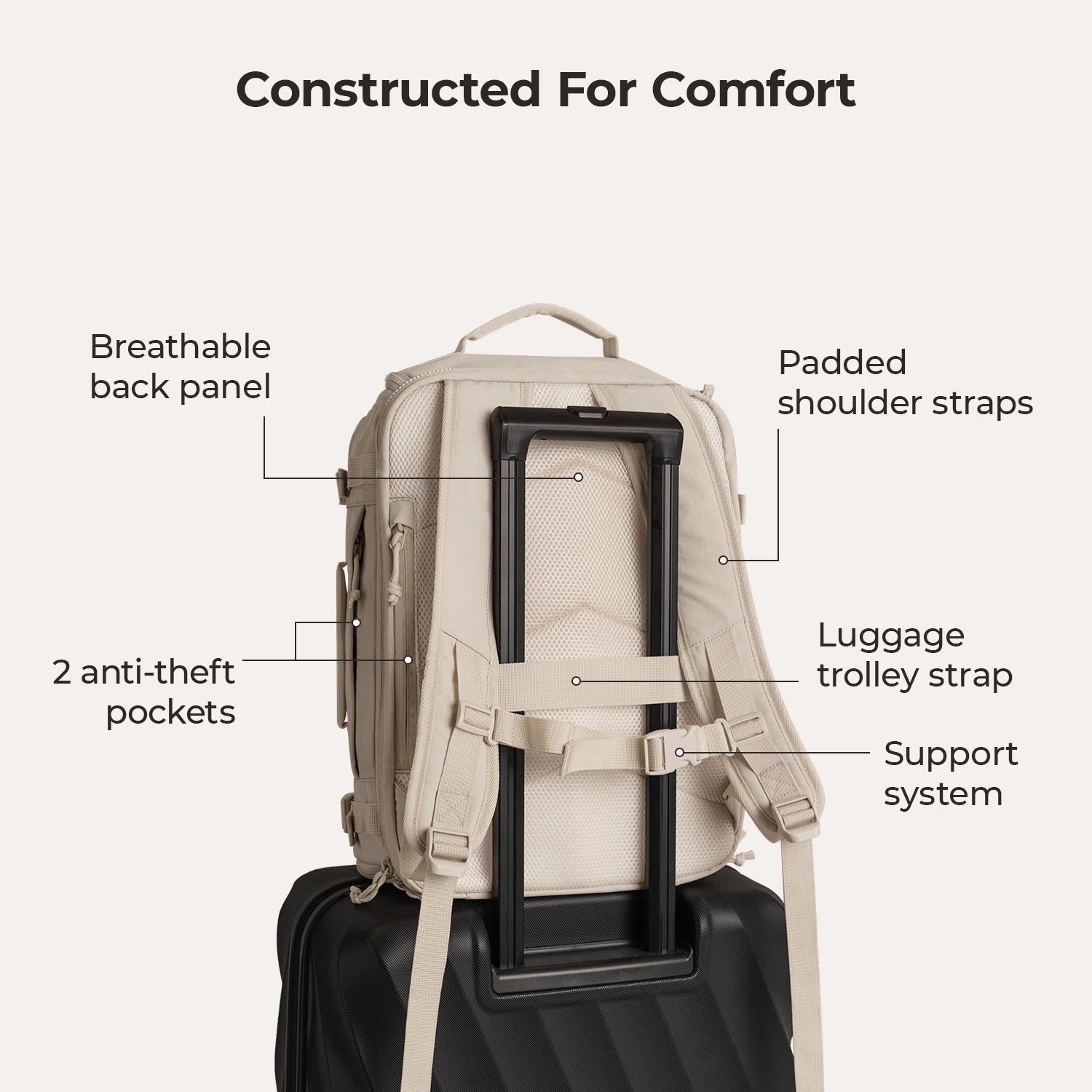 Traveler's Best Friend Backpack